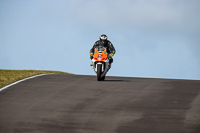 PJ-Motorsport-2019;anglesey-no-limits-trackday;anglesey-photographs;anglesey-trackday-photographs;enduro-digital-images;event-digital-images;eventdigitalimages;no-limits-trackdays;peter-wileman-photography;racing-digital-images;trac-mon;trackday-digital-images;trackday-photos;ty-croes